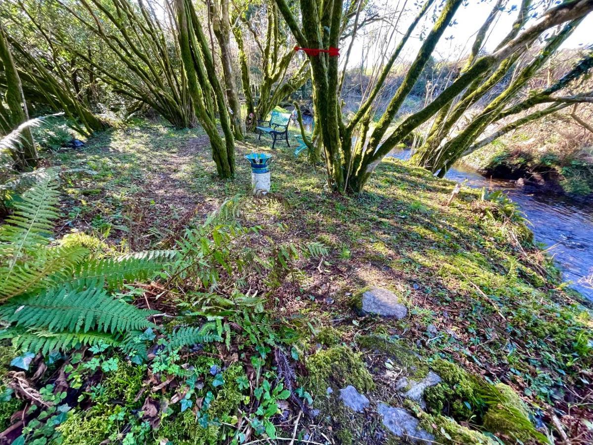 班特里Stepping Stones Glamping 'The Olive'别墅 外观 照片