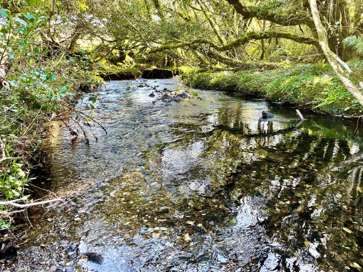 班特里Stepping Stones Glamping 'The Olive'别墅 外观 照片