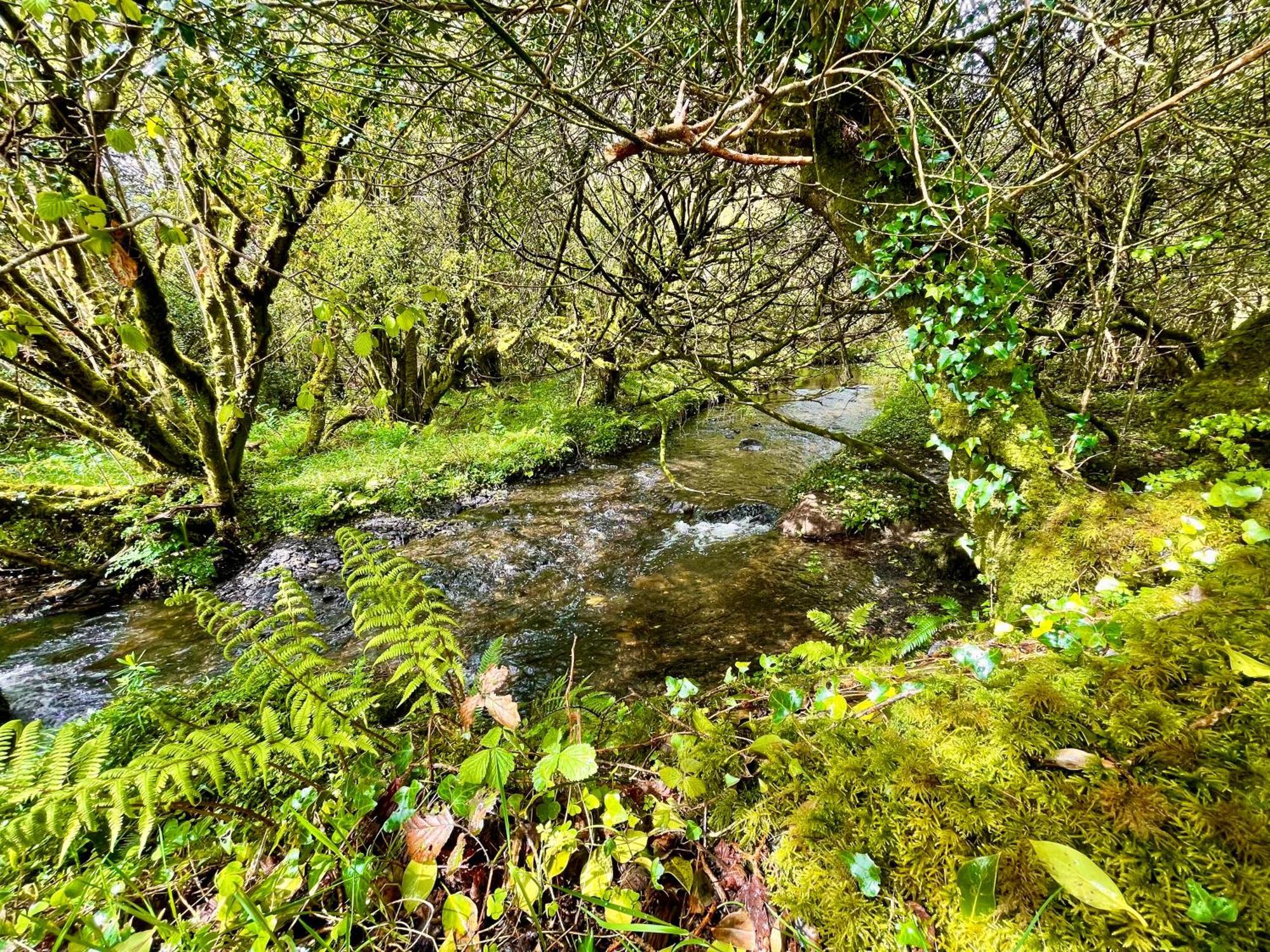 班特里Stepping Stones Glamping 'The Olive'别墅 外观 照片